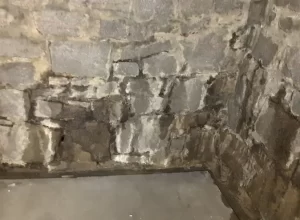 Basement Waterproofing