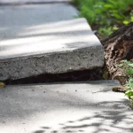 Foundation Cracks From Trees